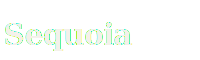 Sequoia